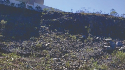 Residencial Tempranillo